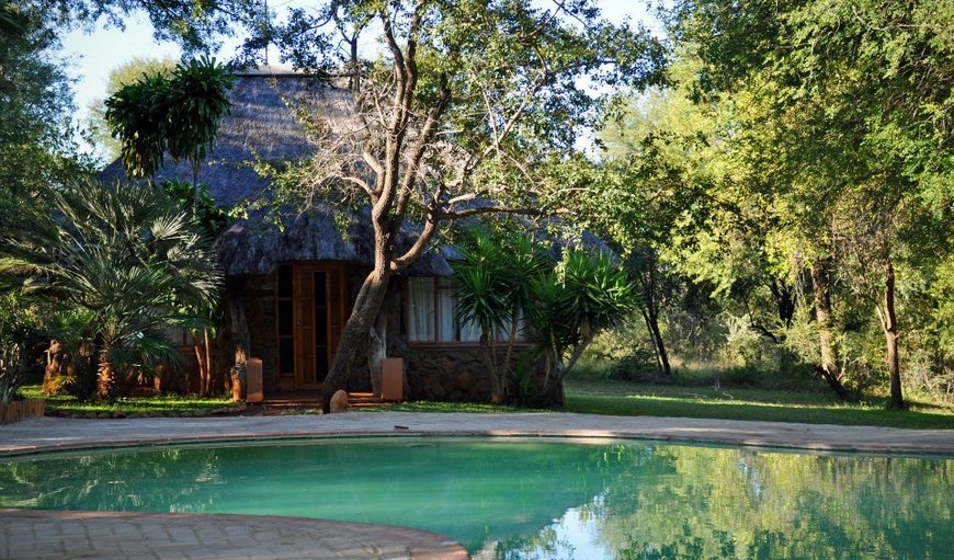 Lazy afternoons can be spent either around the swimming pool with wooden deck, the pool lounge, the reception lounge or the bush jacuzzi. Lazy afternoons can be spent either around the swimming pool with wooden deck, the pool lounge, the reception lounge or the bush jacuzzi.