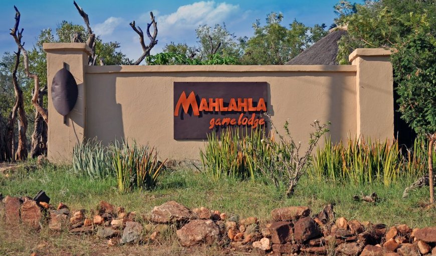 Welcome to Mahlahla Game Lodge! in Gravelotte, Limpopo, South Africa