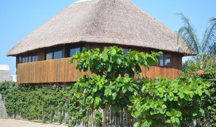 Sailfish @ Cova & Reolize Lodge in Marracuene, Maputo Province, Mozambique