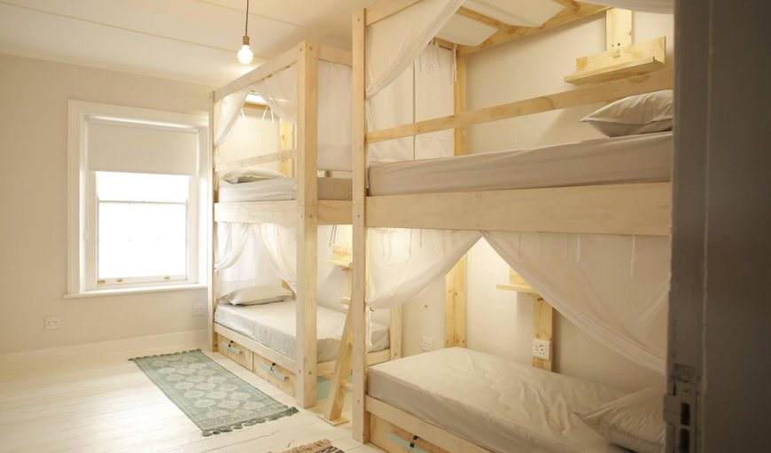 Luxury Bunk Room 2 (Females Only): Bed