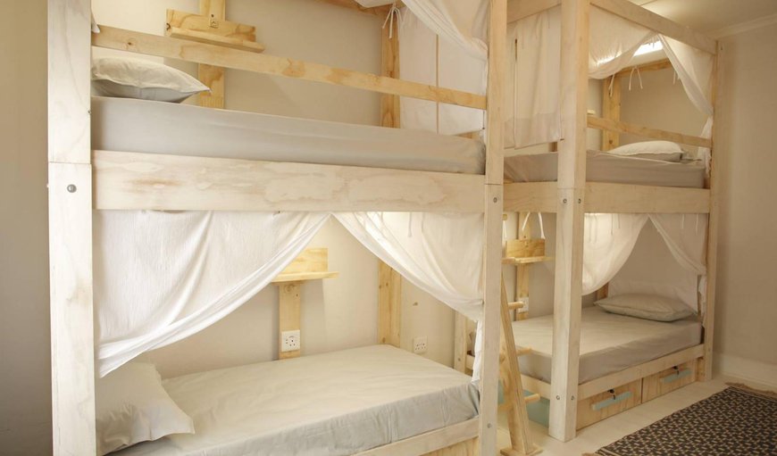 Luxury Bunk Room 7 (Female only): Bed