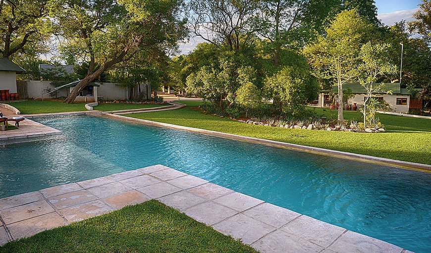 Welcome to Notten's Bush Camp in Sabi Sands Game Reserve, Mpumalanga, South Africa