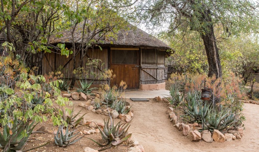 Hut 2 Giraffe - Reed Hut: Family Hut - Outside View