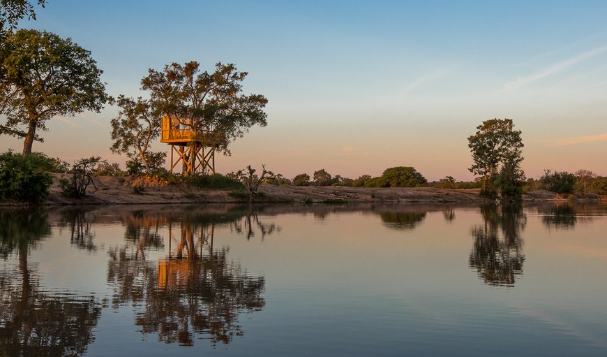 Welcome to Umlani Bushcamp! in Timbavati Nature Reserve, Mpumalanga, South Africa