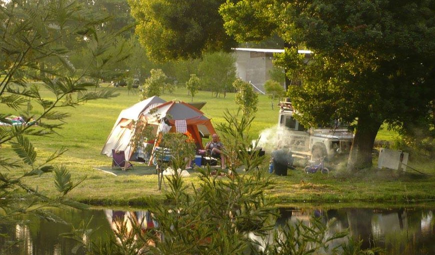 A1-A14 Campsite Electrical Stand photo 3