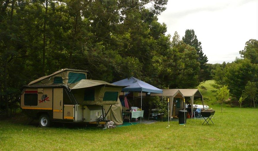 Campsite Bush Camp Stand photo 5