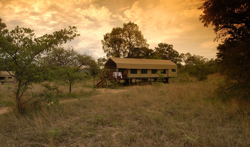 Welcome to Kwafubesi Tented Safari Camp in Bela Bela (Warmbaths), Limpopo, South Africa