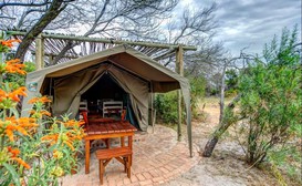 !Khwa ttu Bush Camp image