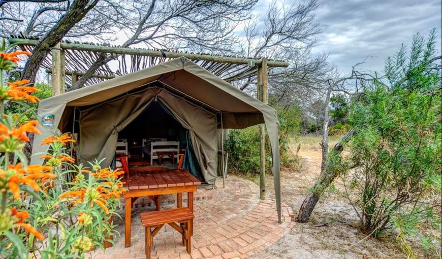 Bush Camp - 5 Tents: Welcome to !Khwa ttu Bush camp!
