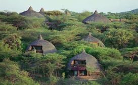 Serengeti Serena Safari Lodge image