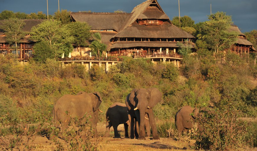 Victoria Falls Safari Lodge