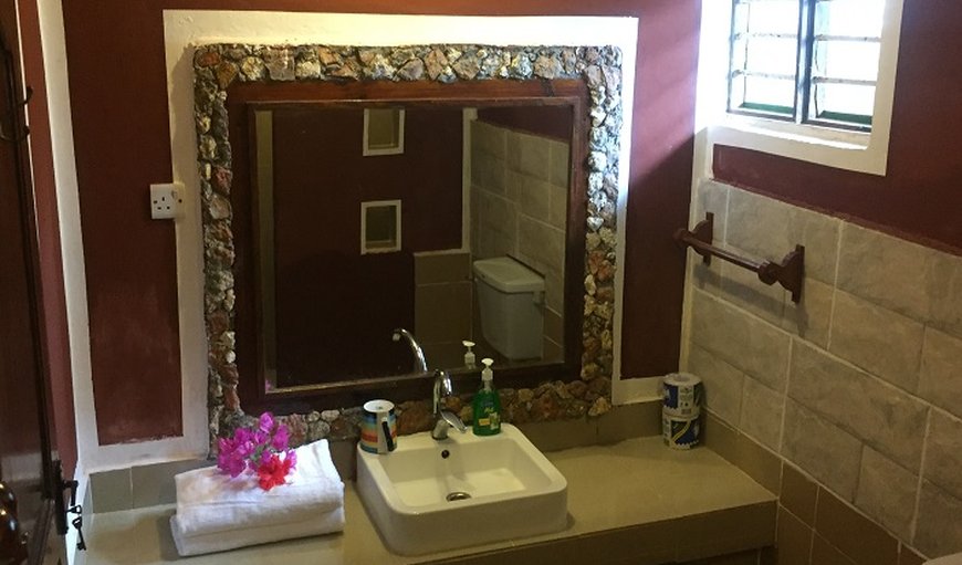 Economy Double Room: Bathroom