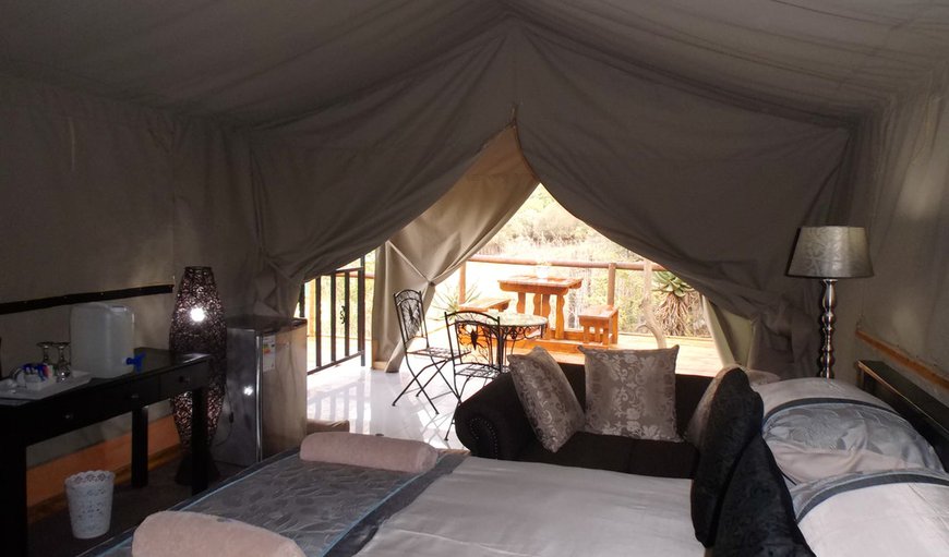 Luxury Safari Tent Mountain View 9: Luxury Safari Tent Mountain View