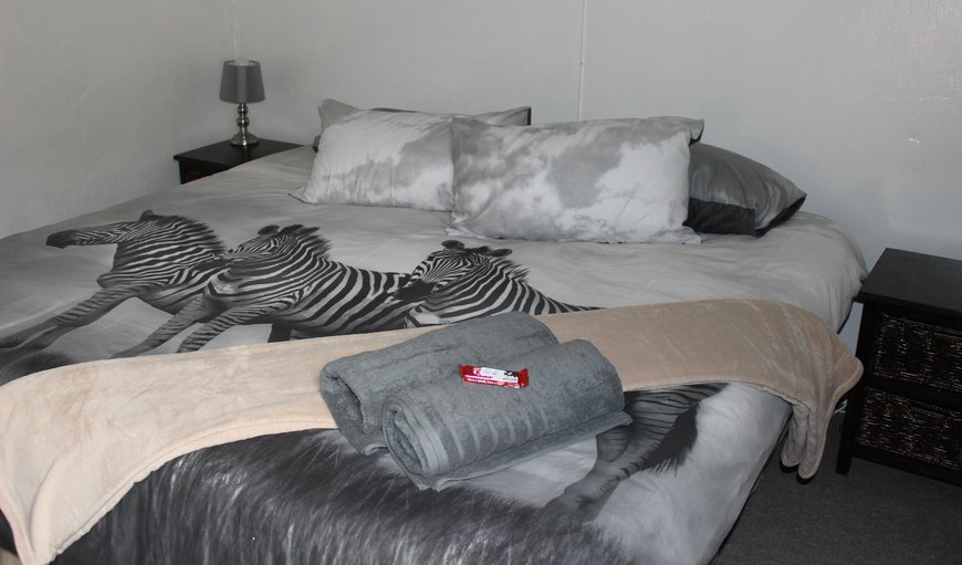 Surricata: Welcome to Surricata @ Die Meerkat Accommodation