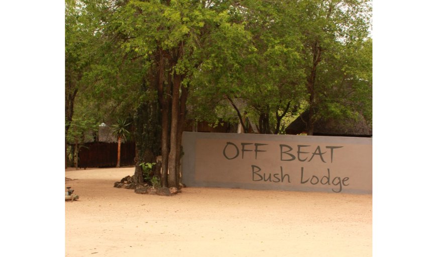 Off Beat Bush Lodge