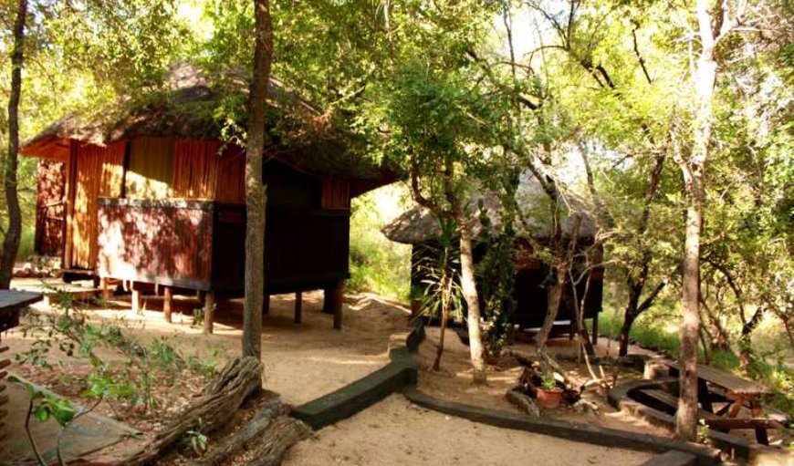 Welcome to Offbeat Safari Cabin 3! in Hoedspruit, Limpopo, South Africa