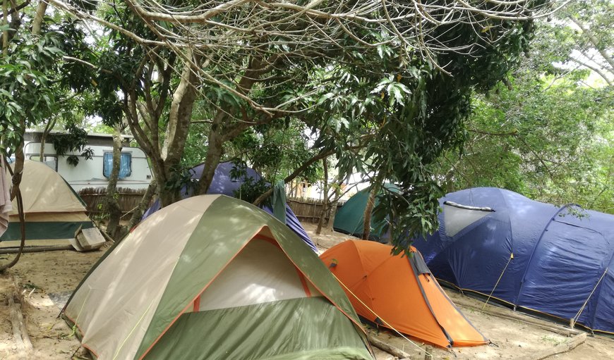 Tent Campsites: Tent Campsites