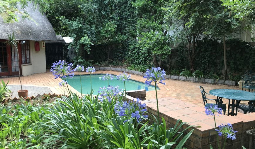 The pool in the garden in Garsfontein, Pretoria (Tshwane), Gauteng, South Africa