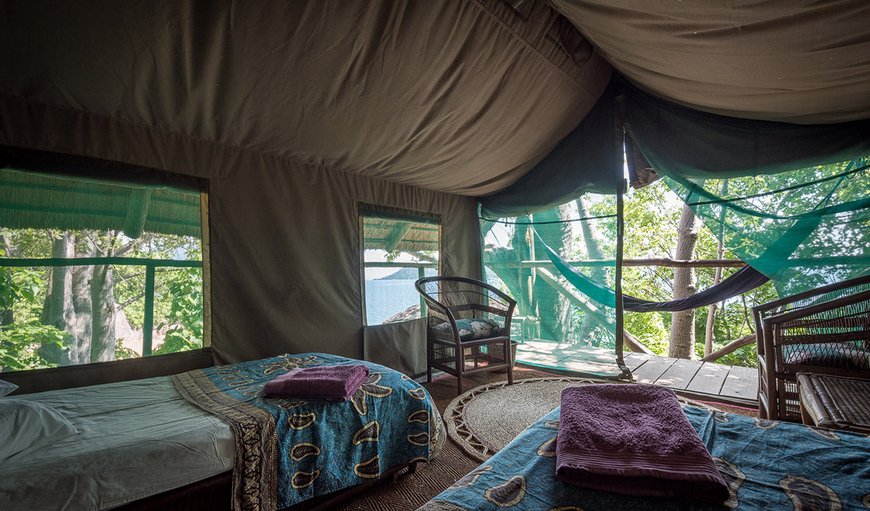 Safari Tents: Safari Tents
