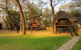 The Tree Lodge at Sikumi image