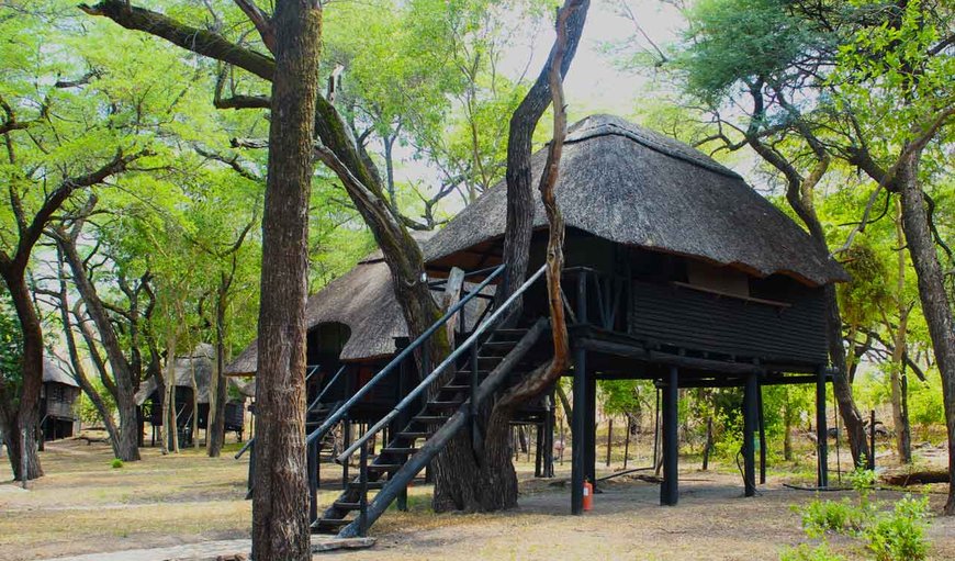 Double/Twin Chalets: luxurious, affordable accommodation in Mangwe trees overlooking a waterhole