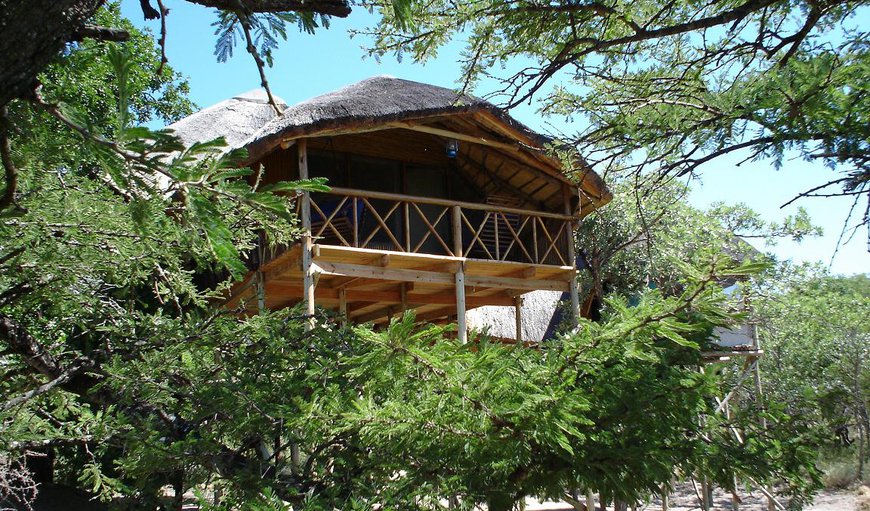 Drunken Parrot (Honeymoon Treehouse): Honeymoon Suite 