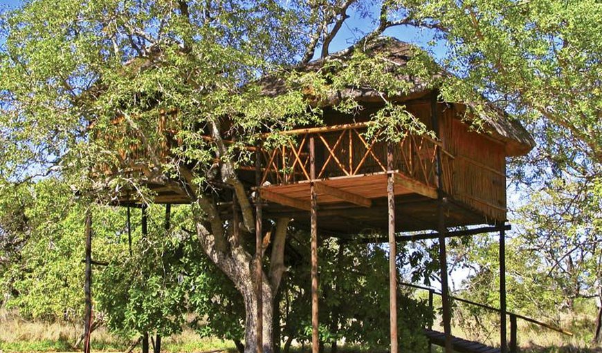 Jackalberry (Standard Tree House): Treehouse