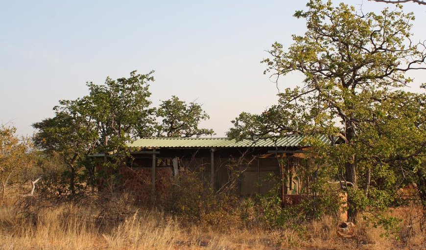 Safari Tent: Safari Tent.