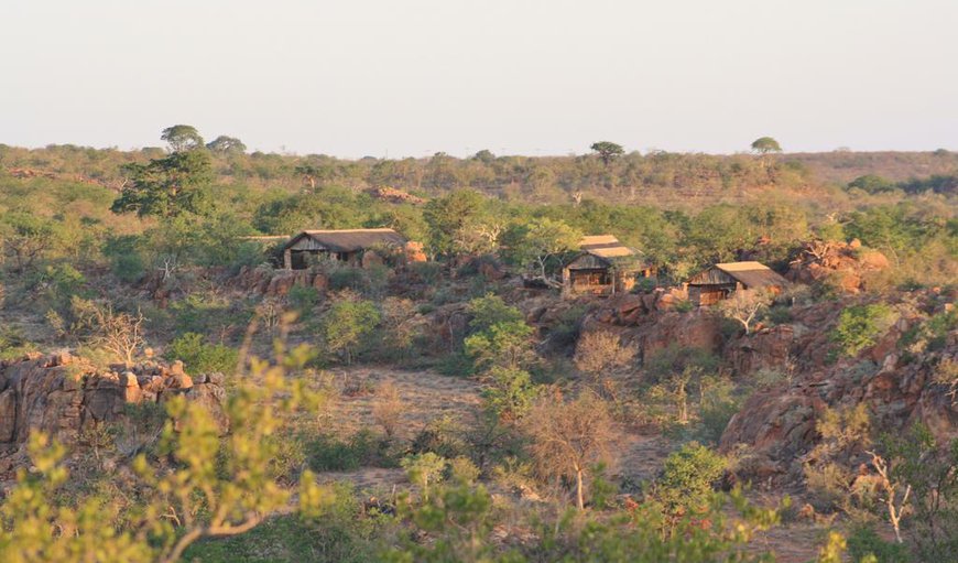 Welcome to Kaoxa Bush Camp. in Alldays, Limpopo, South Africa