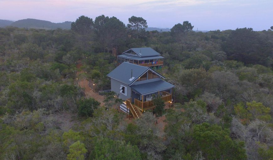 Welcome to Treedom Villas and Vardos! in Wilderness, Western Cape, South Africa