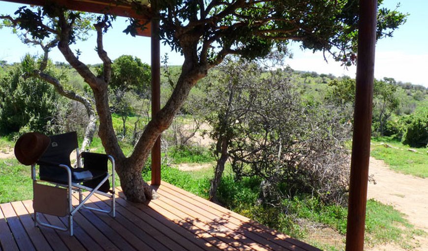 Eco-friendly, Solar-Powered Bush Cottage: Patio area.
