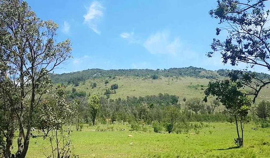 Intaba Centre of Arts landscape.