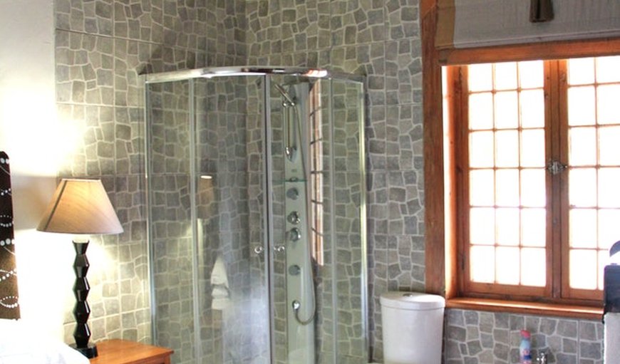 Karoo Main House: Karoo Moons Luxury Guest House bathroom with shower.