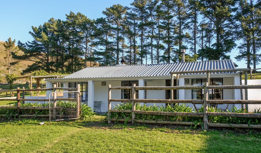 High Season Farm - Wild Olive Cottage in Hemel En Aarde Valley, Hermanus, Western Cape, South Africa