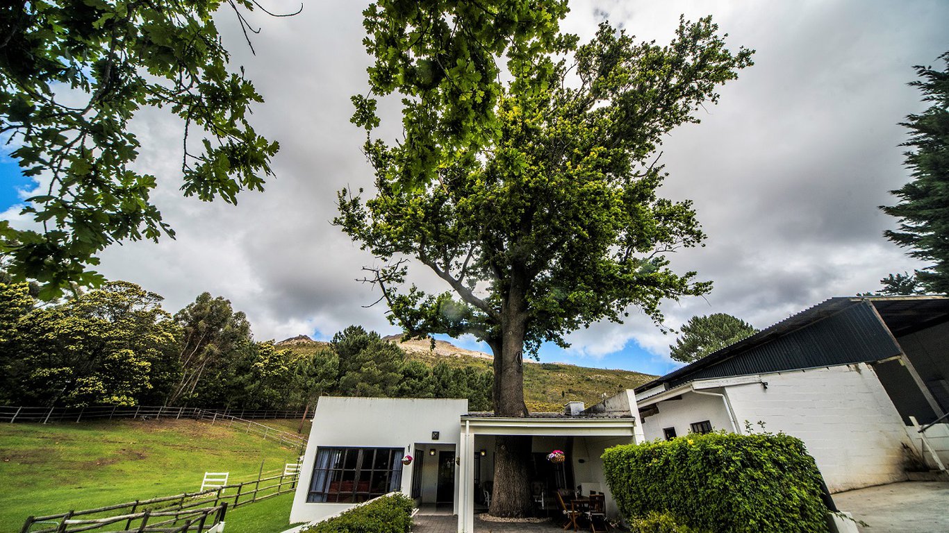 High Season Luxury Farm Cottages Oak Tree In Hemel En Aarde Estate