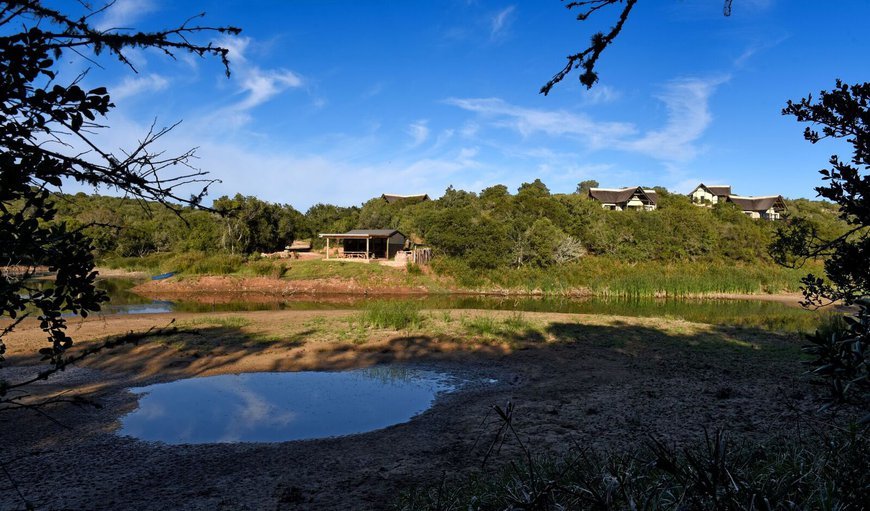 Welcome to Burlington Bush Cottages! in Grahamstown, Eastern Cape, South Africa