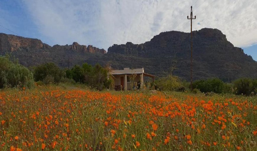 Blokhuys with the view of Pakhuis mountain in the background