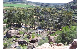 de Pakhuys -Camping image