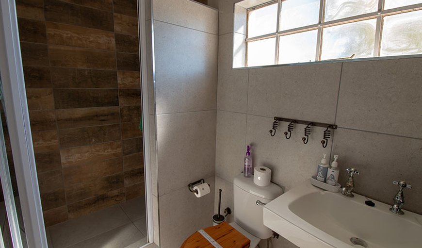 Premium Room 3: Pluvio bathroom with shower.
