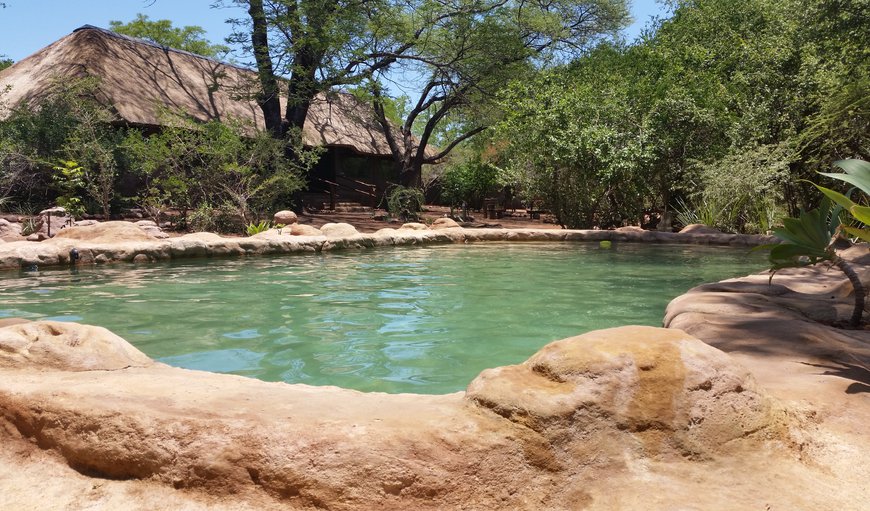 Nthakeni Bush & River Camp in Pafuri Gate , Limpopo, South Africa