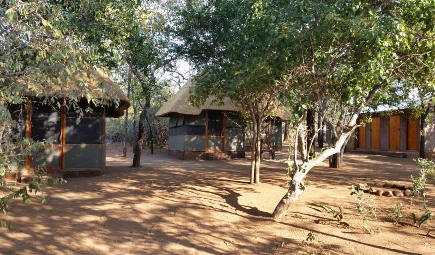 The Mupani Tented Group Camp are nestled away under shaded trees
