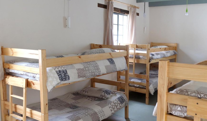 Blue Dorm: Blue Dorm - Dormitory with 5 bunk beds