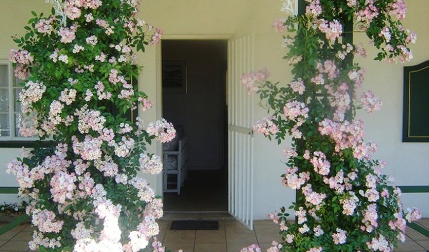 Green Door Guest House Cottage entrance.