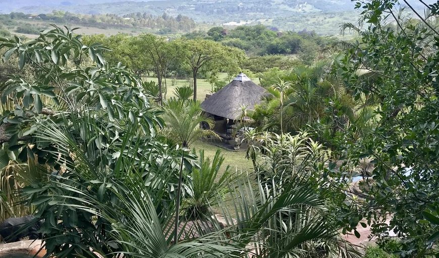 Cottage: Panoramic Mountain Views from the cottage