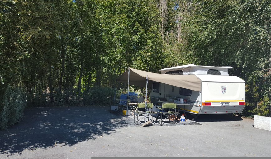 Sterland Caravan Park: Caravan site