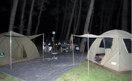 Riverside Manor - Camping image