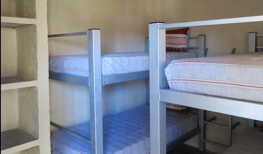 Backpackers B ( R 200 pp/minimum R400  ): Bunk beds