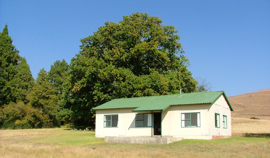 Welcome to Wakkerstroom Farm Lodge - Oom Hans se Huis in Wakkerstroom, Mpumalanga, South Africa