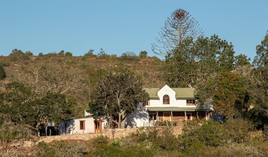 Welcome to Glenfillan Lodge in Grahamstown, Eastern Cape, South Africa