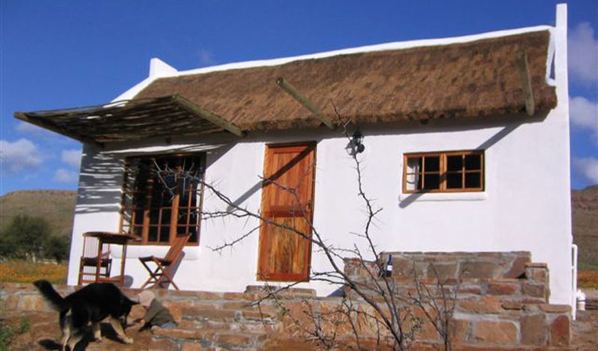 Welcome to Enjo Nature Farm Chalets (Oak and Enjo) in Clanwilliam, Western Cape, South Africa